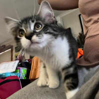 Photo of Bohdi & Lottie