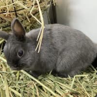 Photo of Bonnie Grey