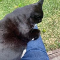 Photo of Snowy