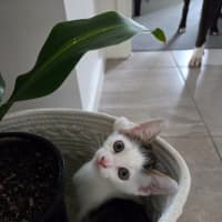 Photo of Chika