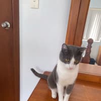 Photo of Jasper