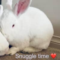 Photo of Milkshake And Tilly