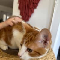 Photo of Andi Meet Me@Petstock Hastings 