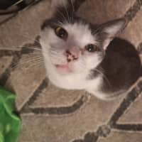 Photo of Daisy
