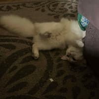 Photo of Dj