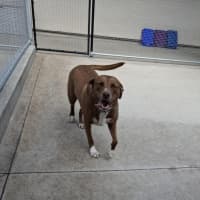 Photo of Carrol 71/2026