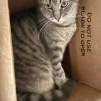 Photo of Dorian And Sterling