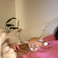 Photo of Sunny   Your Ray Of Sunshine