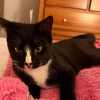 Photo of Twix