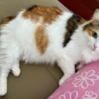 Photo of Aryah