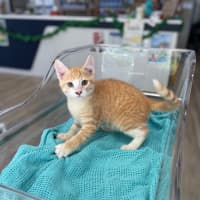 Photo of Marm