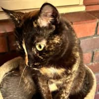 Photo of Hazel Reba
