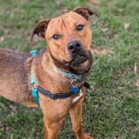 Photo of Rocco