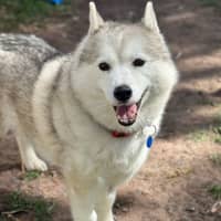 Photo of Skylar