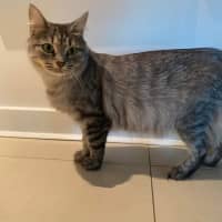 Photo of Cleopatra 