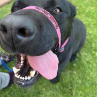Photo of Rubee