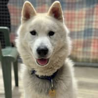 Photo of Max