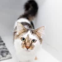Photo of Beru
