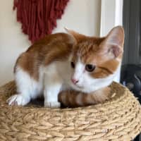 Photo of Andi Meet Me@Petstock Hastings 