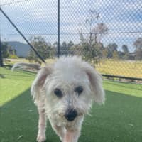 Photo of Sophie Imp 1538