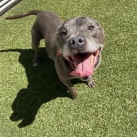 Photo of Larry (Now Vader)