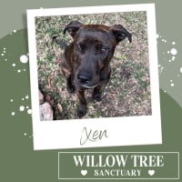 Photo of Xen