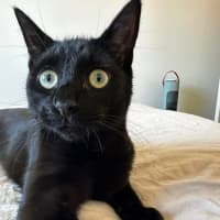 Photo of 💚 Mali 💚