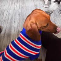 Photo of Evie And Ella