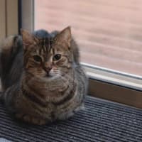 Photo of Jaeger