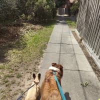 Photo of Mars Bar Slice