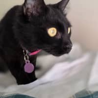 Photo of Ember