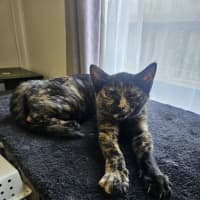 Photo of Jane (Now Maggie)