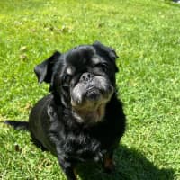 Photo of Maggie And Mr Wiggles