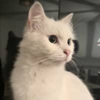 Photo of Max