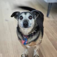 Photo of Barney Lozano