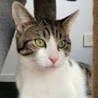 Photo of Perry & Parker 💙🌷