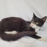 Photo of Harley ❤️