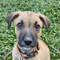 Photo of Uno