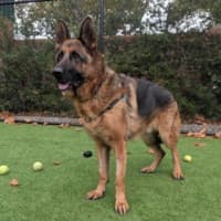 Photo of Zeus