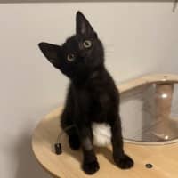 Photo of Elliott 🥥