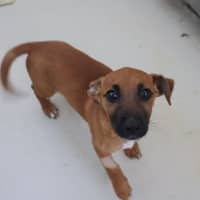 Photo of Mable