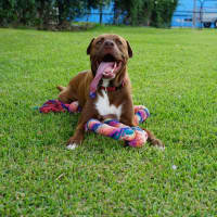 Photo of Wally