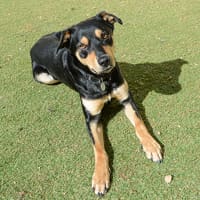 Photo of Benny