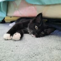 Photo of Jackson & Malakai   Located In Albert Park