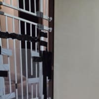 Photo of Marshmallow