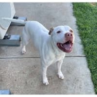 Photo of Jasper