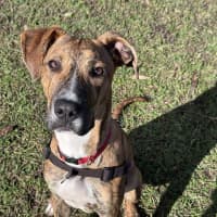 Photo of Tank