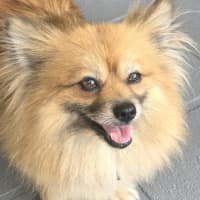 Photo of Coco