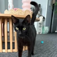 Photo of Ruby