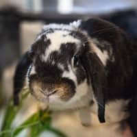 Photo of Samuel